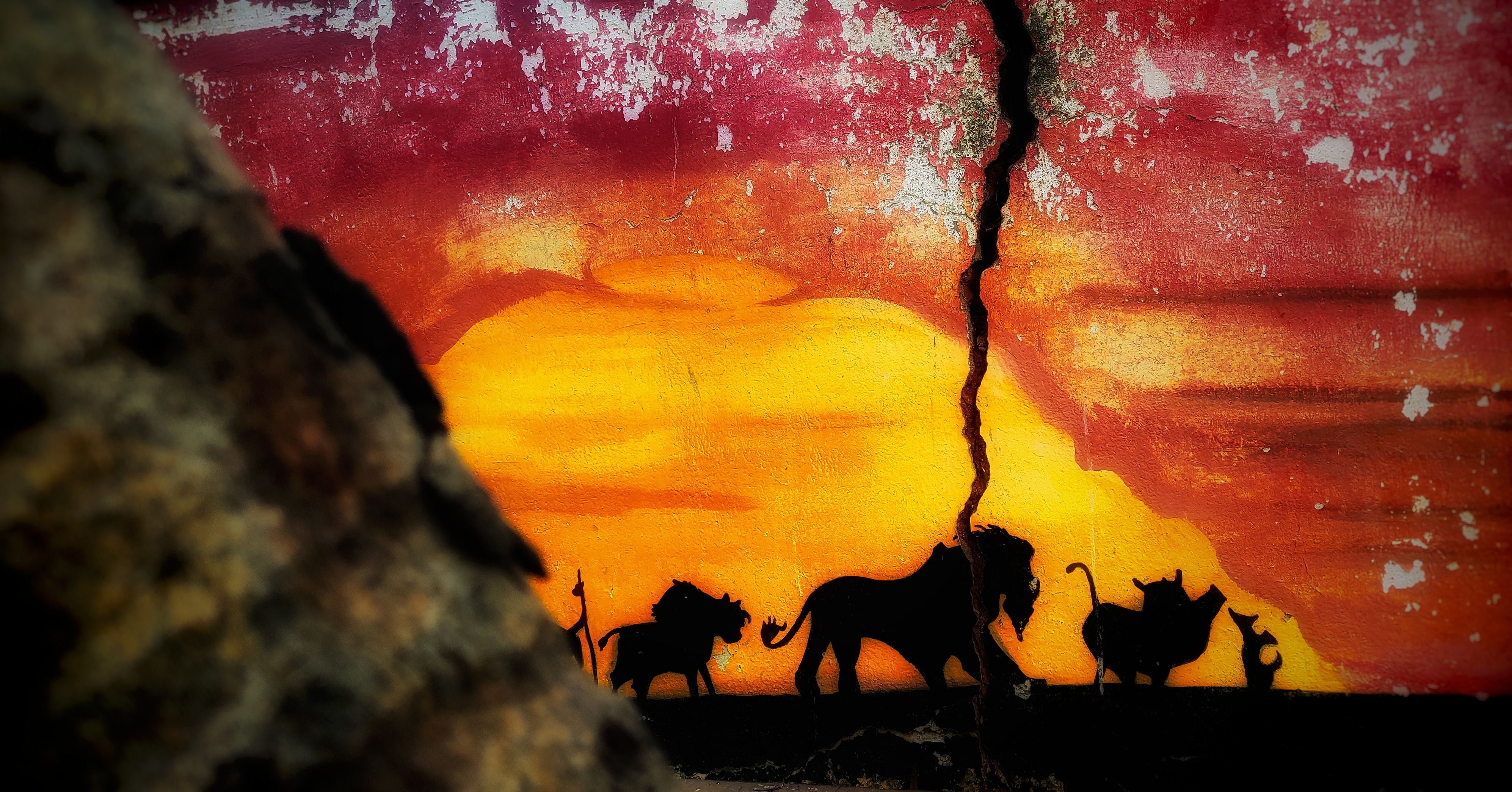 The picture of the Lion king in botanical gardenn ,pondicherry