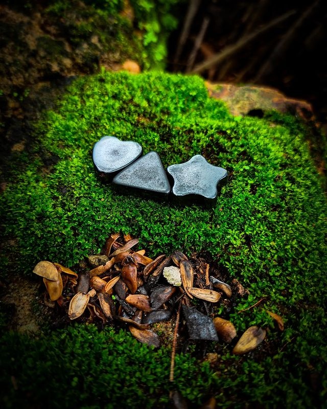 The road leading to Cape Spear